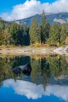 uma espelho lago este reflete a floresta dentro em si foto