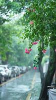 a chuvoso dia Visão dentro a cidade com a molhado estrada e chuvoso gotas baixa foto