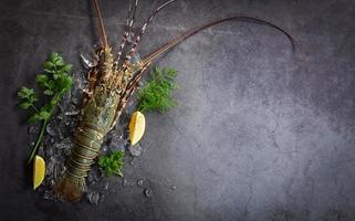 espinhoso lagosta frutos do mar em gelo, fresco lagosta ou Rocha lagosta com erva e especiarias limão coentro salsinha em Sombrio fundo, cru espinhoso lagosta para cozinhando Comida ou frutos do mar mercado foto