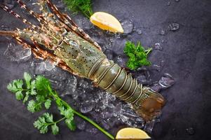 espinhoso lagosta frutos do mar em gelo, fresco lagosta ou Rocha lagosta com erva e especiarias limão coentro salsinha em Sombrio fundo, cru espinhoso lagosta para cozinhando Comida ou frutos do mar mercado foto