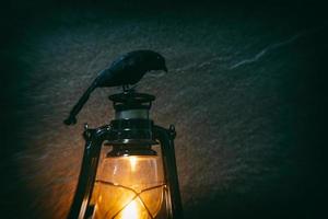 Corvo sentado em uma velho lanterna luzes às noite e Sombrio fundo com borrão filtros foto