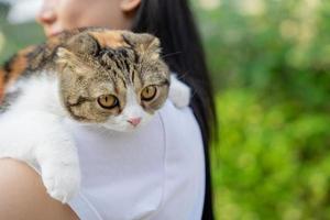 jovem mulher segurando gato em mãos. animais de estimação e pessoas. foto