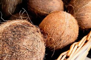 cocos maduros no mercado dos fazendeiros. vendendo alimentos orgânicos exóticos e ecológicos. frutas tropicais na cesta. foto