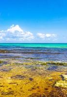 água azul turquesa verde com pedras rochas corais praia méxico. foto