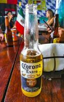 playa del carmen quintana roo México 2022 corona Cerveja garrafa dentro restaurante Barra dentro playa del carmen México. foto