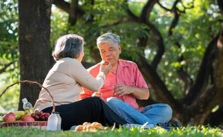 Felizes velhos cônjuges de casal de idosos relaxando e sentados em um cobertor no parque e compartilhando algumas memórias preciosas. casal sênior se divertindo juntos em um piquenique. conceito de relacionamentos maduros foto