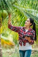 retrato de uma jovem agricultora asiática feliz verifica a qualidade do coco na fazenda e usa o computador tablet para receber pedidos on-line para os clientes. conceitos agrícolas e de tecnologia. foto