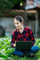 fêmea agrícola usar computador portátil durante trabalhando dentro orgânico vegetal Fazenda foto