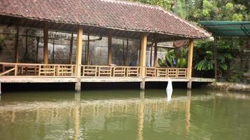 pescaria área e restaurante com tradicional e legal estilo. foto