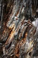 textura de madeira antiga