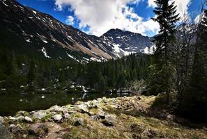 chegada da primavera nas altas montanhas foto