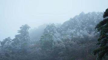 a lindo congeladas montanhas Visão coberto de a branco neve e gelo dentro inverno foto