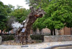 monumento em homenagem a um olmo seco ao qual o escritor antonio machado dedicou um poema foto