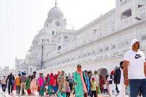 amritsar, Índia - fevereiro 26 2023 - não identificado devotos a partir de vários partes às dourado têmpora - Harmandir sahib dentro amritsar, punjab, Índia, famoso indiano sikh marco, dourado têmpora foto