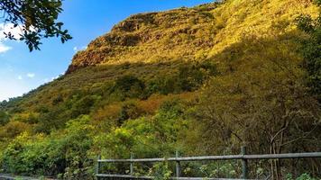 Floresta Laurissilva em Gran Canaria foto