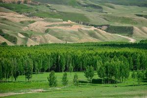 qiongkushtai é uma segredo jardim e uma pequeno cazaque Vila dentro xinjiang. foto