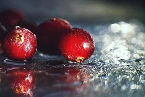 fechar-se congeladas cranberries em a vidro com reflexão . congeladas cranberries em uma Sombrio fundo macro. foto