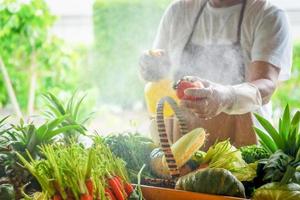 agricultor em pé dentro a Fazenda e selecionando legumes para oferta. seletivo foco foto