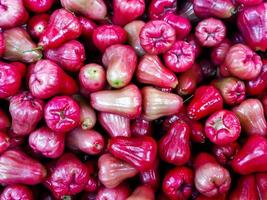 recentemente fruta rosa maçã fruta ou jambu airon exibição para venda às mercado foto