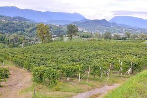 cênico rural panorama foto