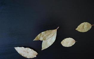 foto baía folhas em uma Sombrio de madeira fundo, especiarias e temperos, seco plantas, bandeira para cozinhando