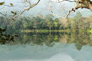 a imagem do a floresta de a lago foto