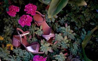 Rosa mulheres sandálias uma calçados moda verão foto