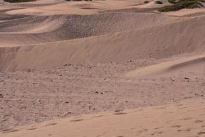 paisagem cênica do deserto foto