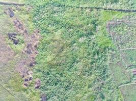 aéreo Visão do terra mapeamento de não tripulado aéreo veículo dentro bogor, Indonésia. foto