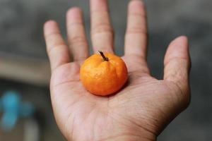 uma fechar acima do mini citrino frutas em repouso em uma Palma com árvores dentro a fundo. fruta foto conceito.