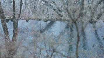 a lindo congeladas montanhas Visão coberto de a branco neve e gelo dentro inverno foto