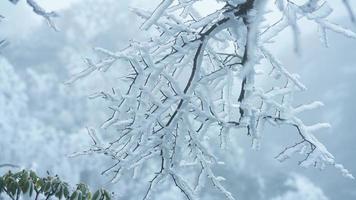 a lindo congeladas montanhas Visão coberto de a branco neve e gelo dentro inverno foto