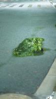 a pequeno água piscina em a estrada dentro a cidade depois de a chuva foto