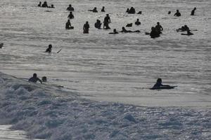 surfar escola em a oceano de praia foto