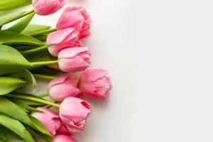 Rosa tulipas mentira em uma branco mesa foto
