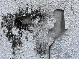velho concreto textura parede foto
