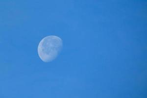 dia cheio lua debaixo a azul céu foto