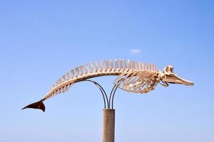 baleia escultura - Espanha 2022 foto
