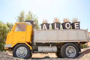 amarelo caminhão com aloés plantas foto