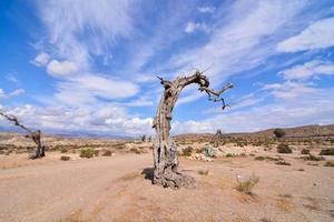 paisagem cênica do deserto foto