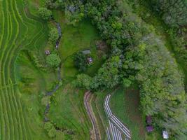 aéreo Visão do verde arroz terraços dentro Indonésia foto