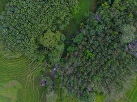 aéreo Visão do verde arroz terraços dentro Indonésia foto