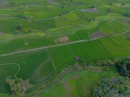 aéreo Visão do verde arroz terraços dentro Indonésia foto