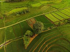 aéreo Visão do verde arroz terraços dentro Indonésia foto