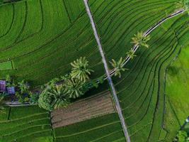 aéreo Visão do verde arroz terraços dentro Indonésia foto