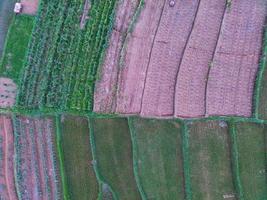 aéreo Visão do verde arroz terraços dentro Indonésia foto