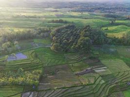 aéreo Visão do verde arroz terraços dentro Indonésia foto