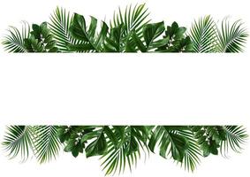 moldura de folha verde tropical em um fundo branco foto