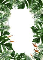 quadro de folhas tropicais isolado em um fundo branco foto