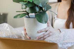 ásia jovem cliente mulher mão dentro recebido, desempacotar pacote cartão aberto parcela dentro cartão caixa, segurando cerâmico plantar Panela. em movimento, preparando dentro Novo casa, realocação. conectados fazer compras Entrega às lar. foto